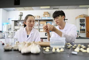 扎心了,老鐵 最容易被人誤解的這些專(zhuān)業(yè),你知道嗎